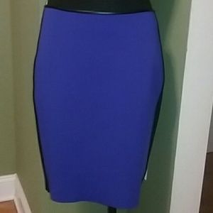 Reed Krakoff Pencil Skirt